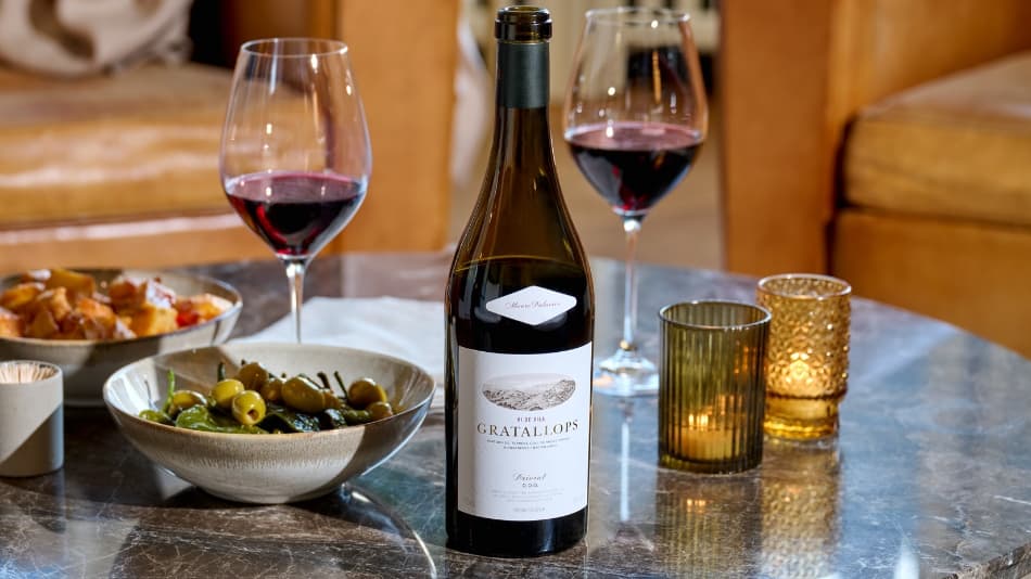 Festtagsdegustation, Vinothek im Hotel Baur au Lac, Zürich