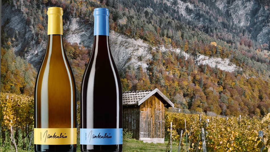 Gantenbein-Weinabend für Geniesser, Baur au Lac Vins Regensdorf