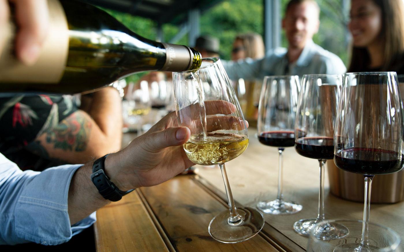 Pinot Noir of the World