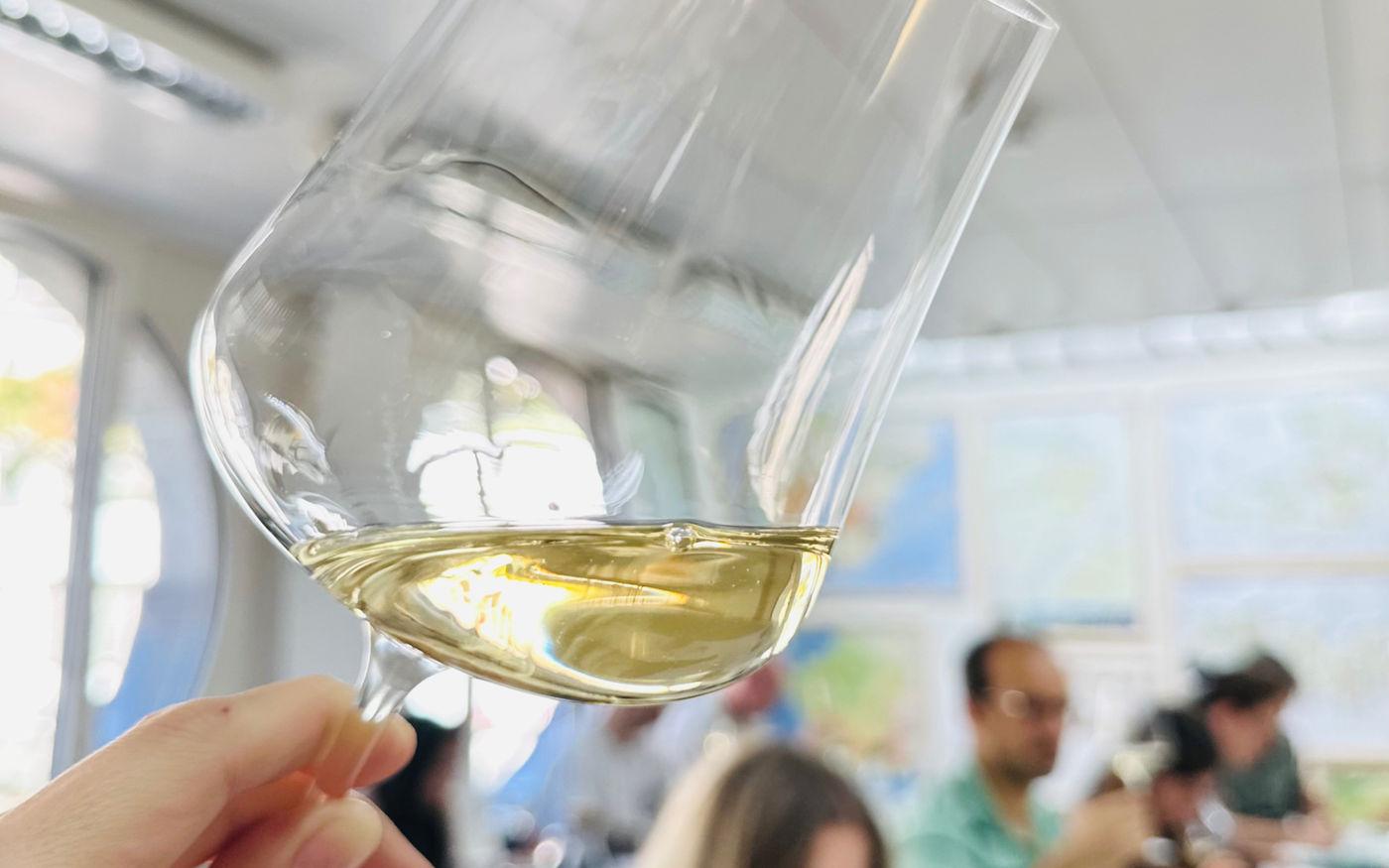 Sparkling Wines of the World