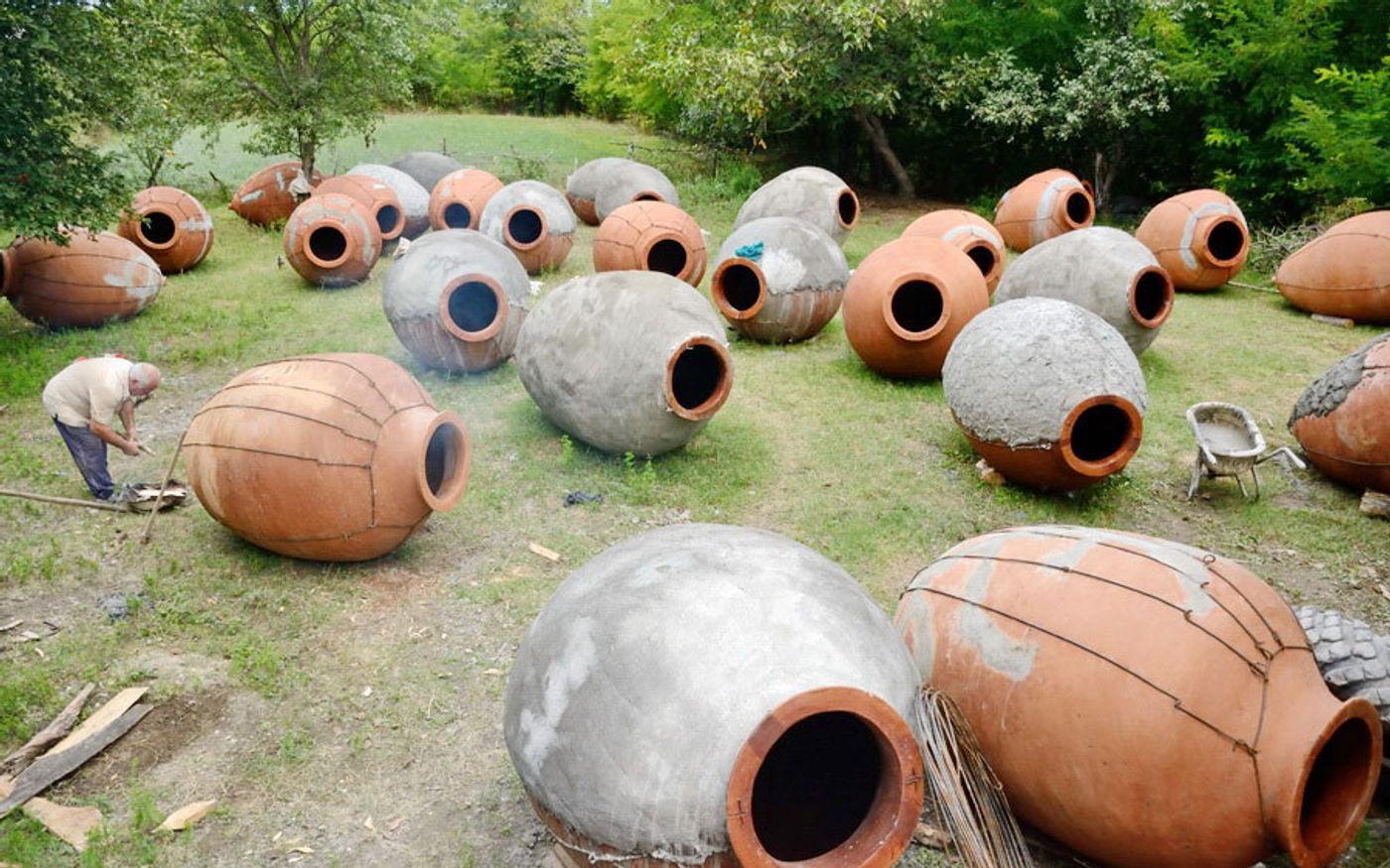 Ancient Grapes